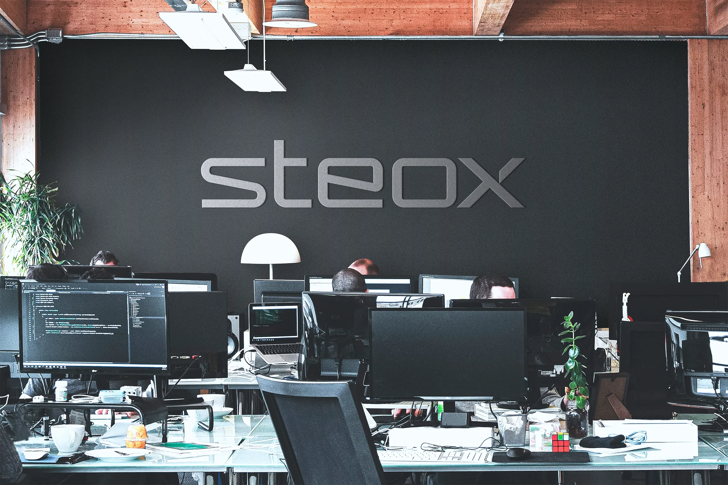 steox office